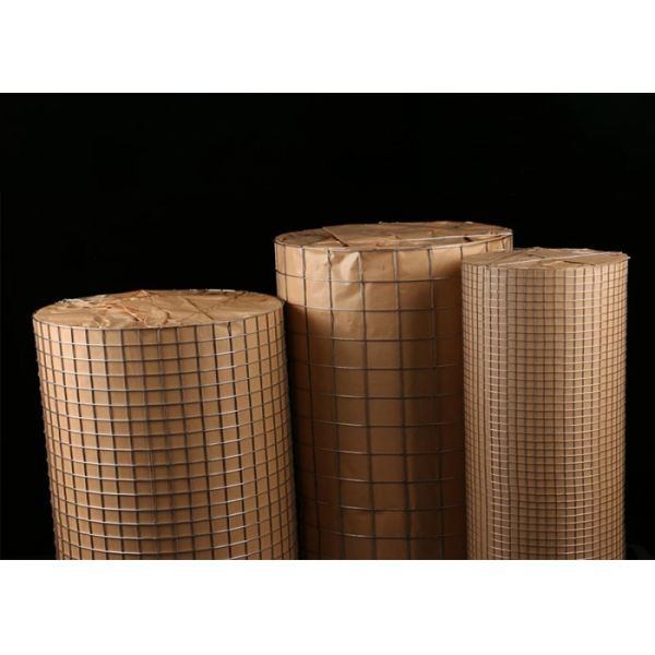 Galvanized Welded Wire Mesh With Protective Plastic Paint