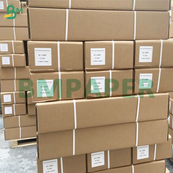 2 Inch Core Size Clear Image Double Side Blue Plotter Paper Rolls