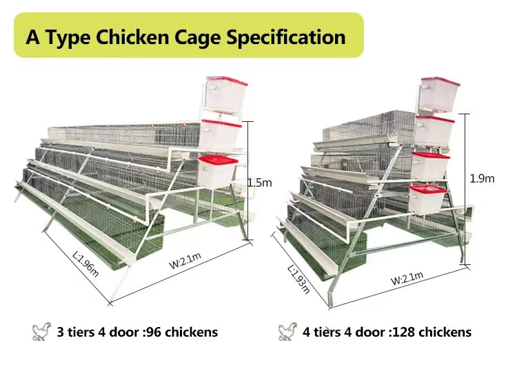 A-Type Layer Chicken Cage with Hot-Dip Galvanized Steel Automatic Feeding System and 15-20 Year Lifespan