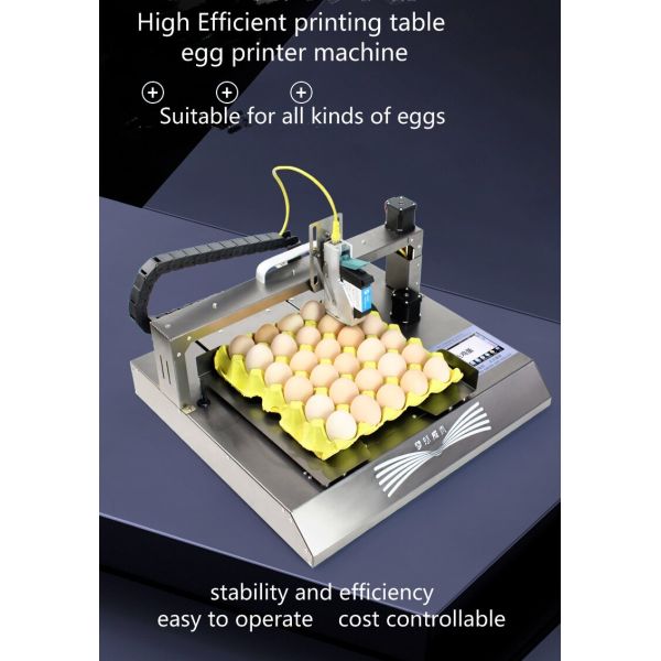 Ink Type Eco Solvent Ink Industry Smart Automatic Egg Date Stamp Printing Machine
