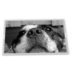 C080VAN02.2 8inch TFT LCD Display Modules Quality supplier Rectangular screen