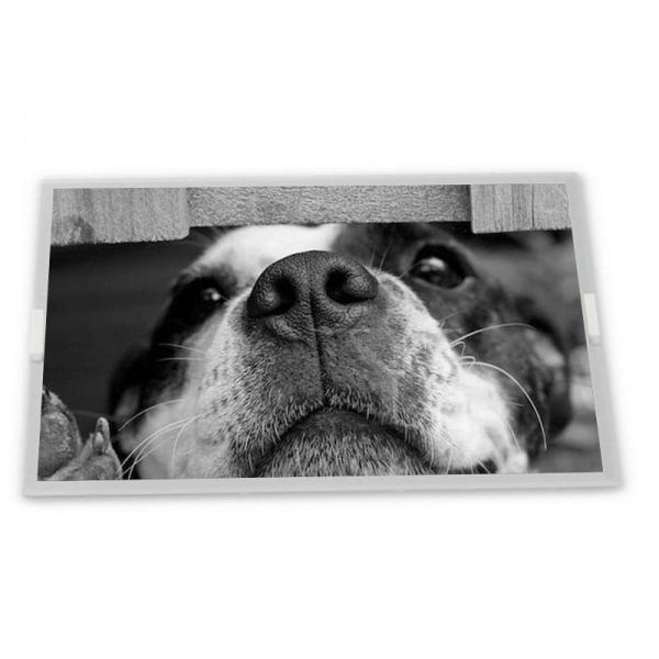 C080VAN02.2 8inch TFT LCD Display Modules Quality supplier Rectangular screen
