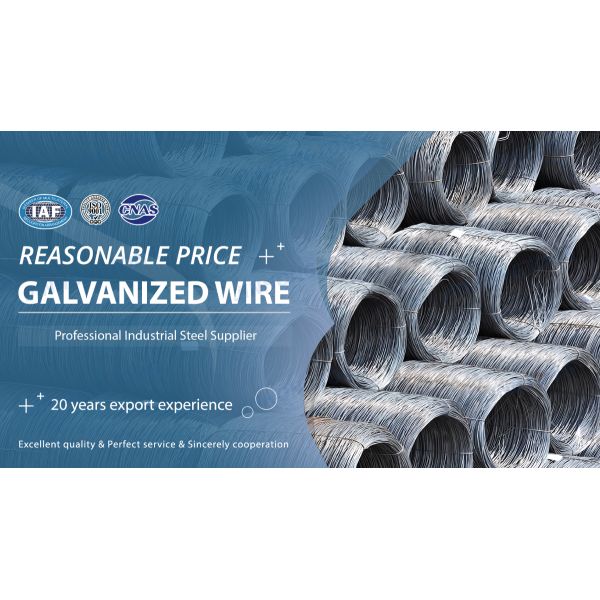 Customized Length Hot Dipped Galvanized Iron Wire for Dependable Performance