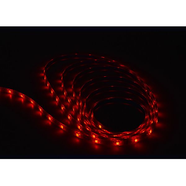 25000h SMD5050 Color Changing Waterproof Ip65 Led Flex Strip