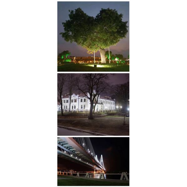 RoHS Portable Flood Light