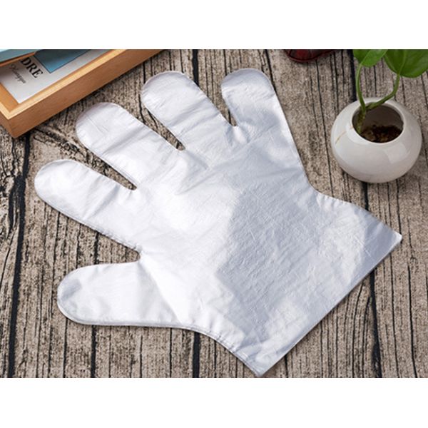 Anti Oil Transparent PE Gloves