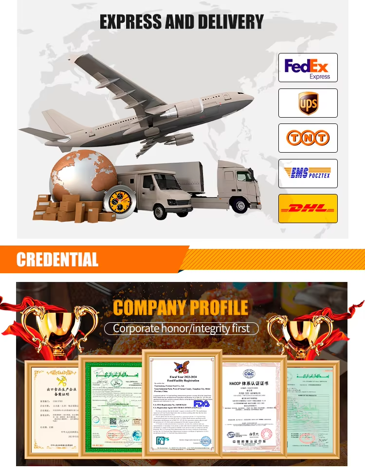 2025 Latest Production Canned Tomato Paste in Various Sizes 70g 210g 400g with Fresh Ripe Tomato Made