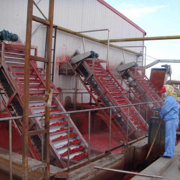 Factory Outlet Turnkey Solution for Tomato Paste Processing Machine Production Plant Sauce Making Machine