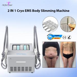 China EMS Coolsculpting Cryolipolysis Machine Cryotherapy Cryo Machine For Fat Freezing on sale