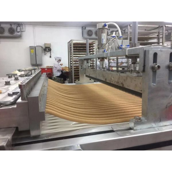 Auto Traying Beef Stick Extruding Machine Line Make Dog Snacks