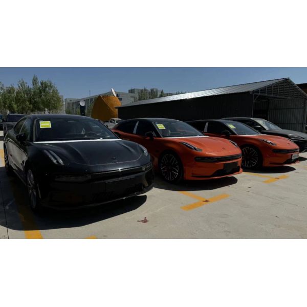 You Version 100kwh Electric Small Car Customization and Customized Request Options
