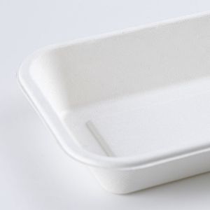 Biodegradable container, Disposable dining box for sugarcane pulp rectangular