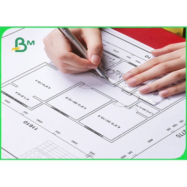 50gsm 73gsm Translucent Tracing Paper For Engineering Drawing
