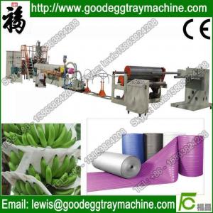Plastic Expanded EPE foam Sheet Extrusion Line