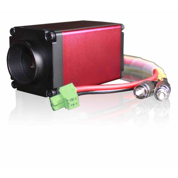 Synchronous Cameras Control System Two Channel for Industry Inspection