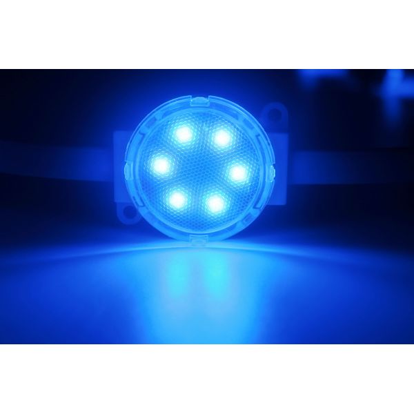 Miracle Bean SMD 3535 2W 24V IP67 RGBW LED Pixel