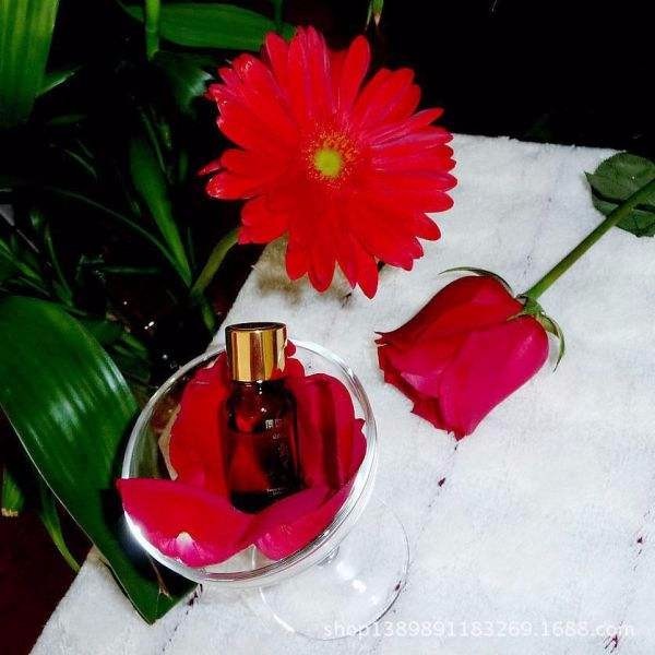 10L Water Oil Distiller for Plants Essential Oil Extraction of Ginger and Herbs