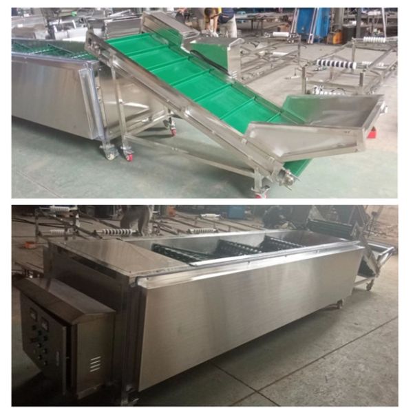 Mushroom grading machine, mushroom sorting machine, mushroom sorter
