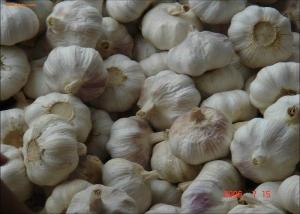 China 2016 Chine new crop agricultural garlic organic fresh white garlic on sale
