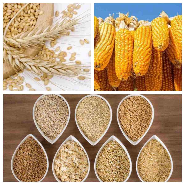 Poultry Feed Pellet Making Machine Feed Pellet Production Line Chicken Feed Pellet Making Machine