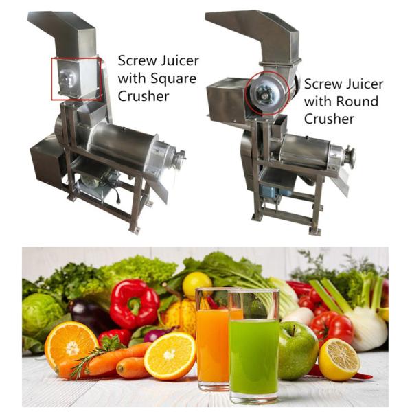 Fruit Apple Watermelon Mango Pineapple Juicer Extractor Machine Stainless Steel