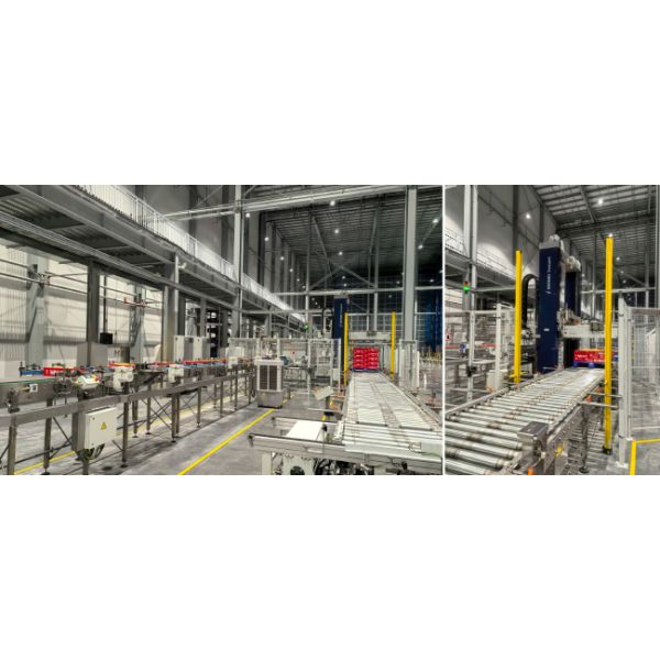 Double Deep pallet Stacker Crane ASRS, Floor Supported SRM(Storage Retrieval Machine), Automatic Storage And Retrieval System,Room Temperature