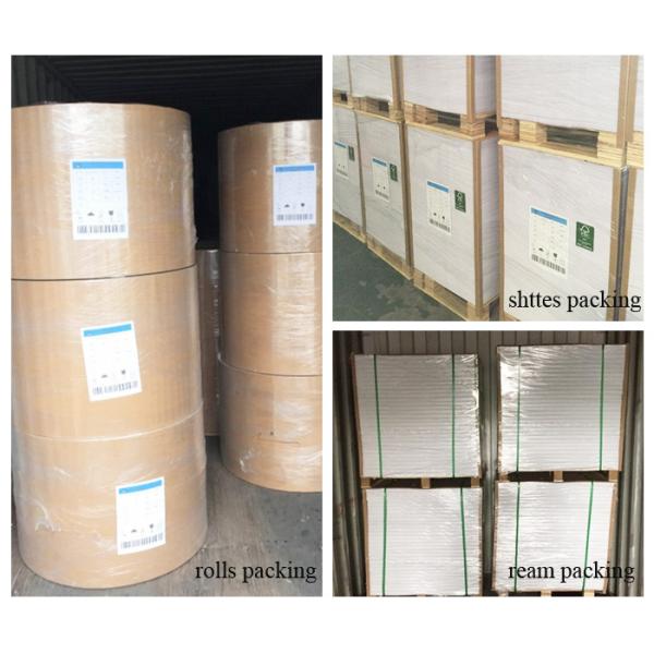 Smooth Surface 250g 350g Duplex Board Grey Back For Printing And Packing