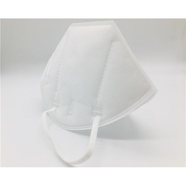 Infiltrate Coronavirus Particulate KN95 Earloop Mask