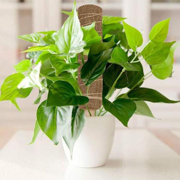 Stackable Moss Pole Monstera Plant Support , Plant Stakes For Indoor