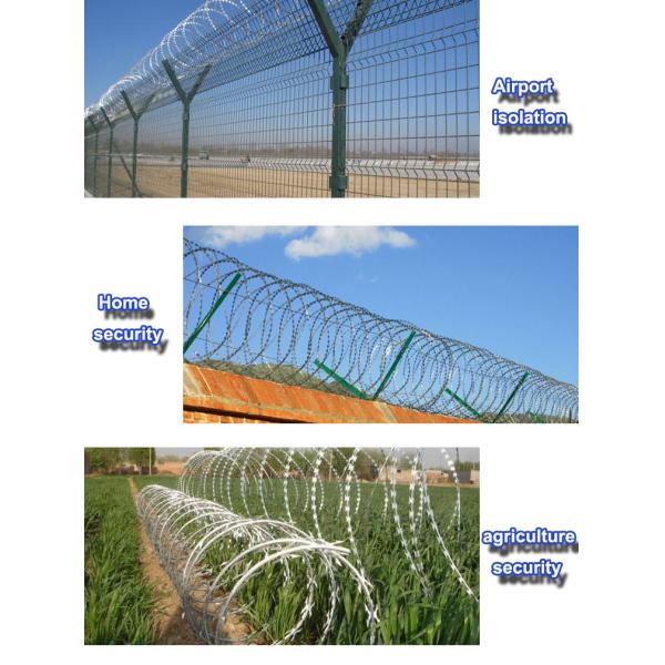 Stainless Steel Galvanized Barbed Wire , Easy Maintenance Razor Wire Mesh
