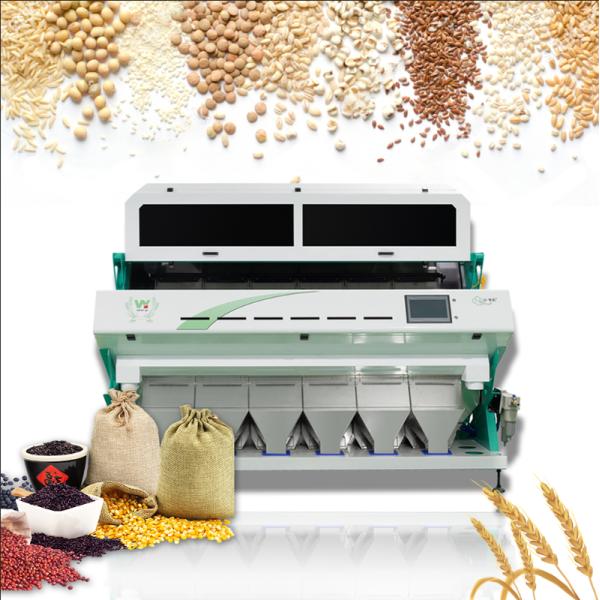 Intelligent CCD Camera 6 Chute Kidney Bean Color Sorting Machine with Easy Operation