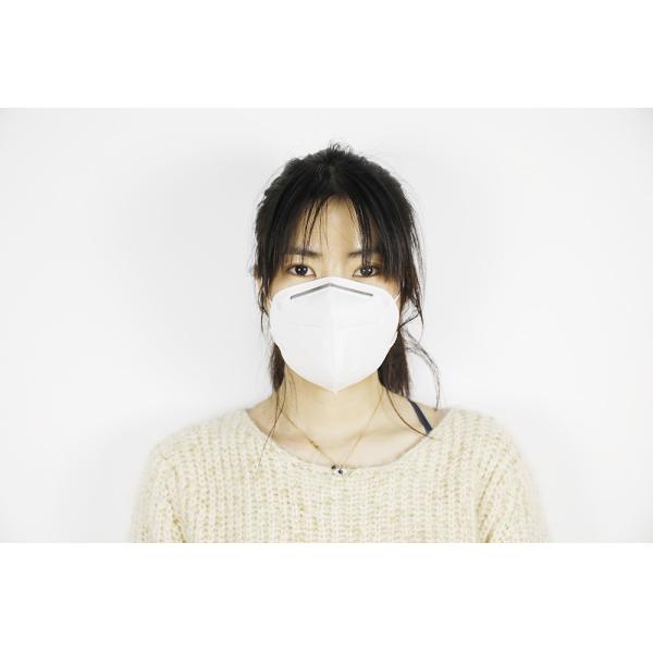 Non Toxic Disposable Earloop Face Mask , Lightweight KN95 Face Mask