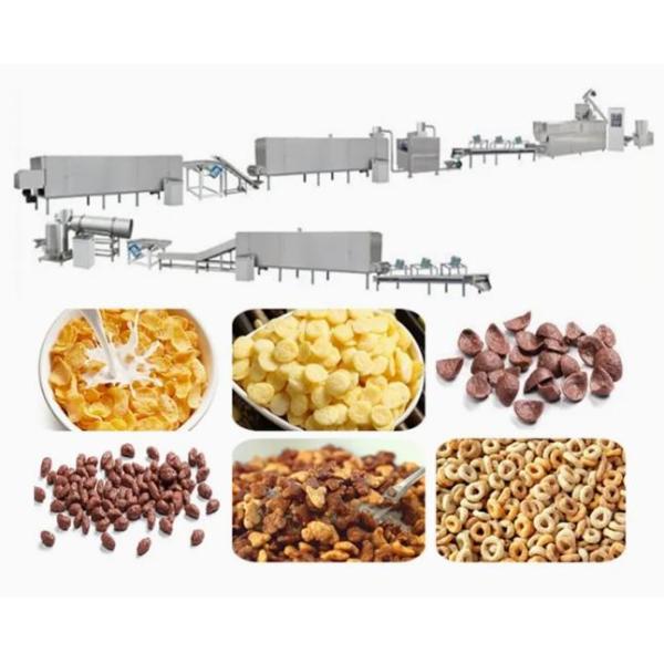 delicious multifunctional good performance corn flakes/breakfast cereal processing line