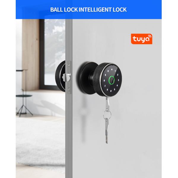 Rapid Identification Smart Gate Lock FCC Sliding Door Smart Lock