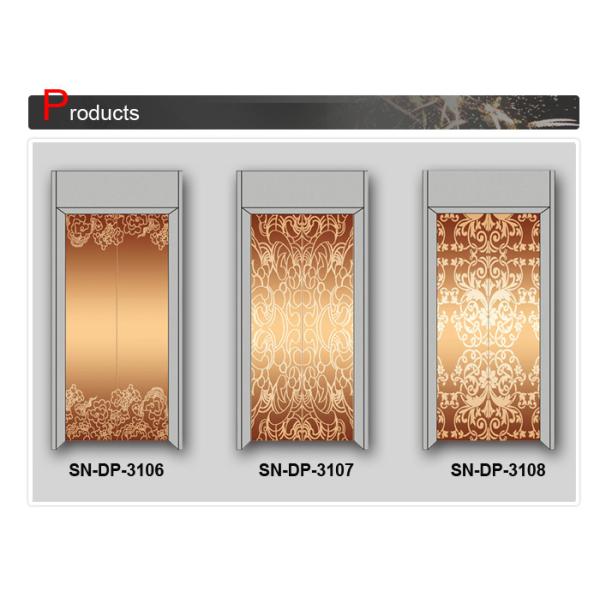 Stainless Steel st . St Splendid Elevator Door Panel for Passenger Lift