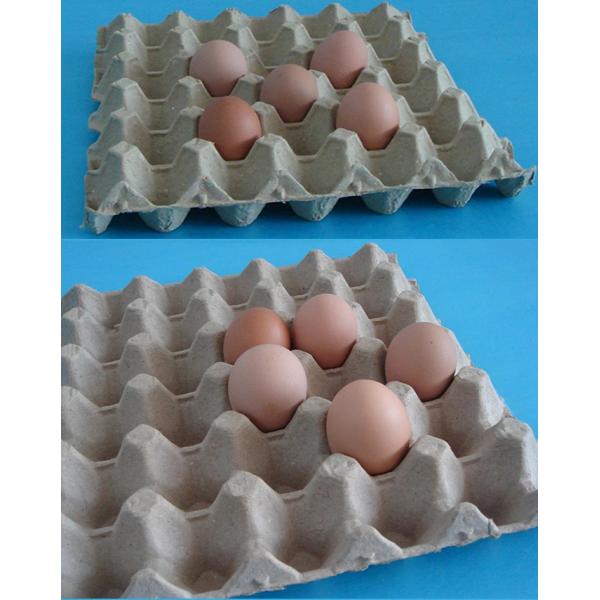Paper Egg Tray Manufacturing Machine with Heating Oven High Speed 4000PCS / H