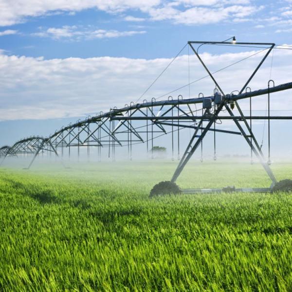 Large Farm Advanced Digital Metal Linear Move Irrigation System Core Components with Motor and Gearbox 2354 inch Diameter