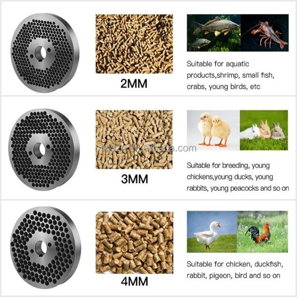 supply breeding feeds pellet maker machine Wet and dry use processing Feed Pellet Machine
