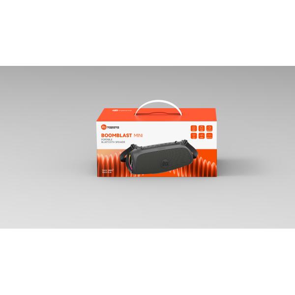 Packaged speaker with protective materials