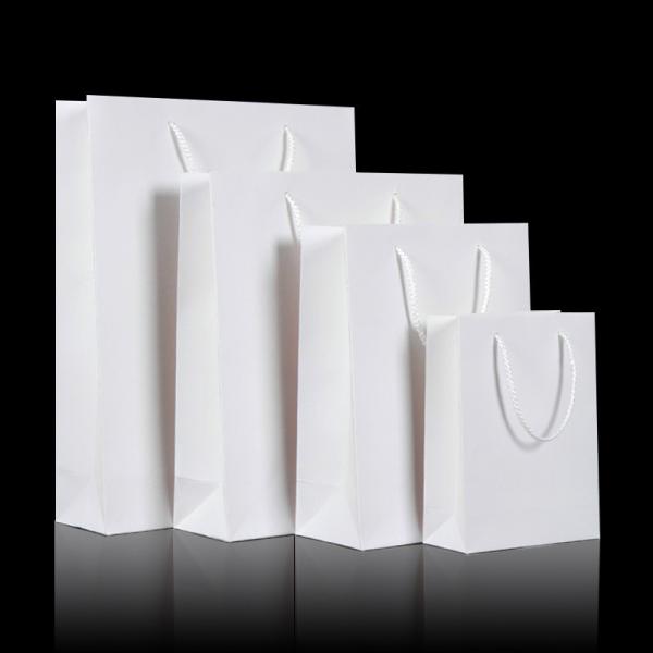 Custom Printing Biodegradable Paper Gift Handbag for Eco-Friendly Packaging Solutions