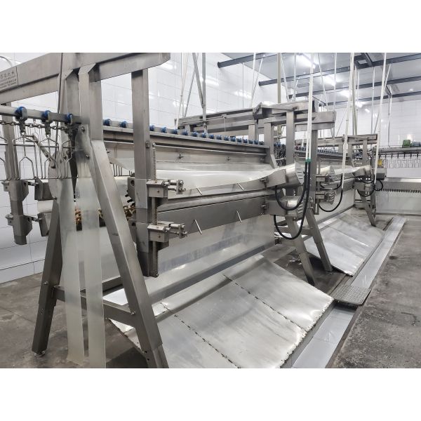 High Efficiency Halal Chicken Slaughtering Equipment Turnkey Poultry Processing Line for 1000 Birds Per Hour
