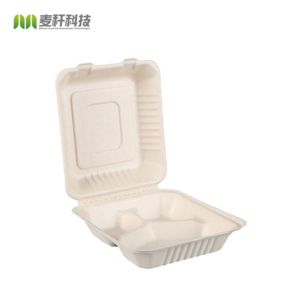 9 x 9" Sugarcane pulp biodegradable hinged large container