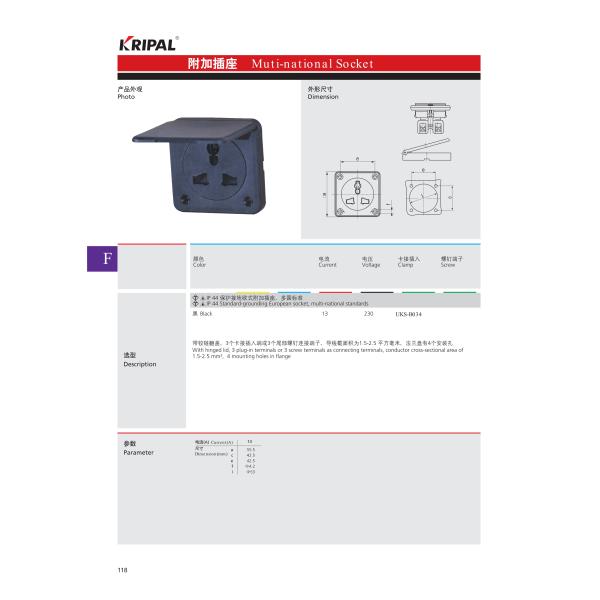 Additional sockets are used in multiple countries 13A 230V IP44