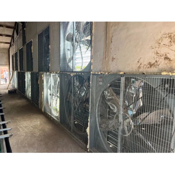 Hot-dip Galvanized Automatic Broiler Chicken Cage System with Adjustable Vents and Corrosion Resistant Design