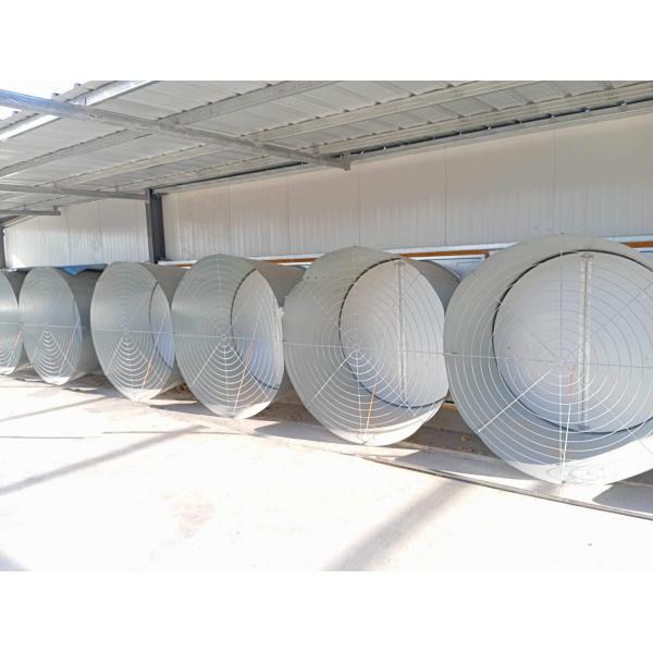 Modern Design Waterproof Thermal Insulation Chicken House Laying Chicken House Steel Structure Poultry House