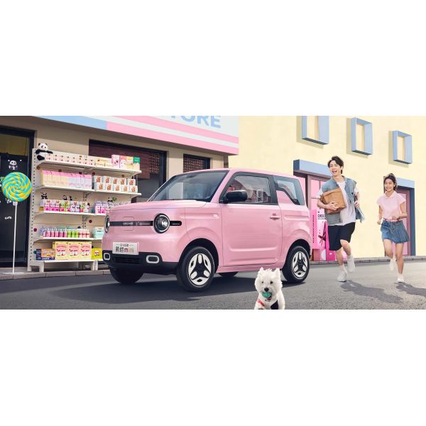 2025 Cheapest 4 Wheel Left Hand Drive Automatic Vehicles Geely Panda Small Mini Ev Electric Used New Cars Made in China for Sale
