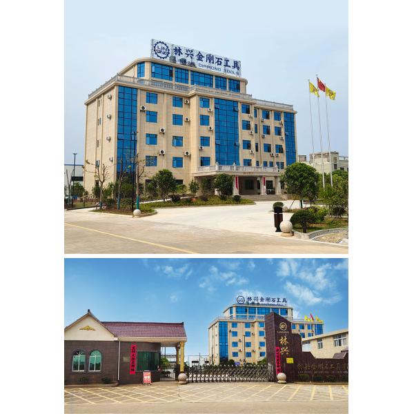 OBM Supported 5inch Diamond Polishing Disc for Stone Slabs Cutting Type For Polishing