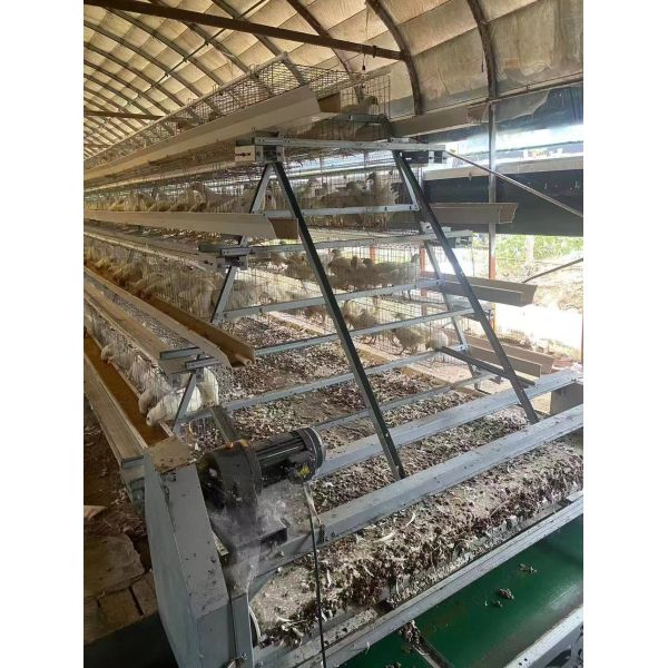 Complete Cage System Setup