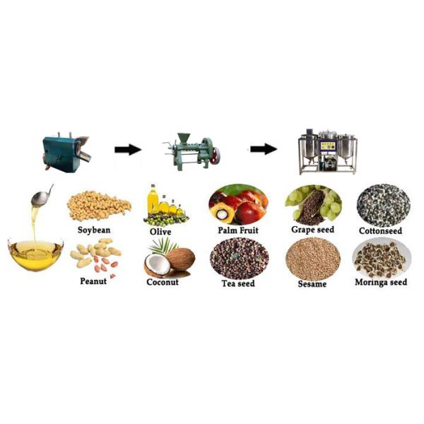 2000kg/day Capacity Canola Oil/palm Oil/palm Kernel Oil Refinery Machinery/equipment for Degumming/deacidification/bleaching