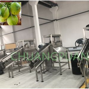 Quality Premium Coconut Water Cutting Machine 316 Stainless Steel for sale